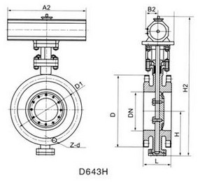 d643h(dng)y